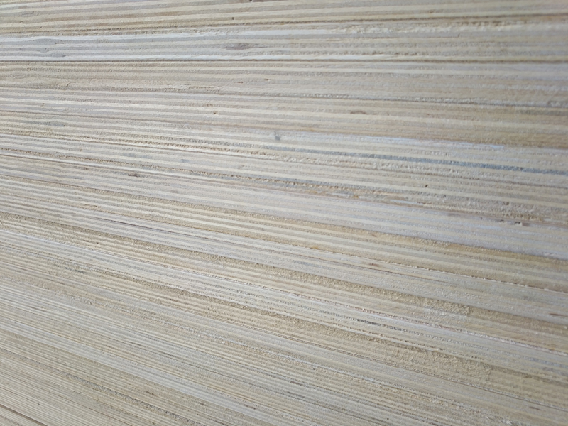 Birch Plywood