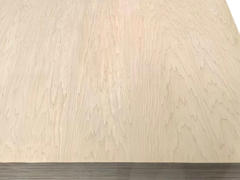 Maple MDF