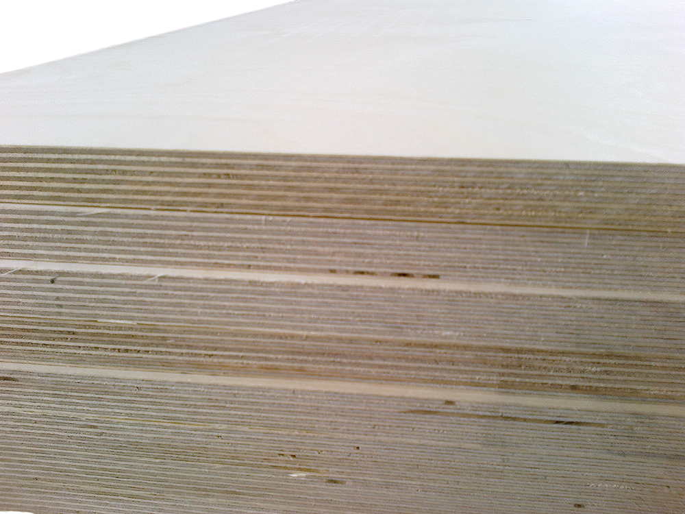 Birch vs. Poplar vs. Hard