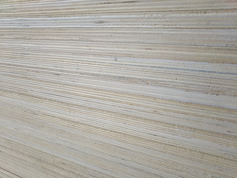 Birch Plywood 