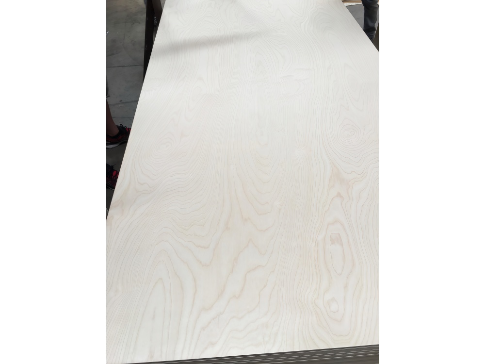 Birch Plywood