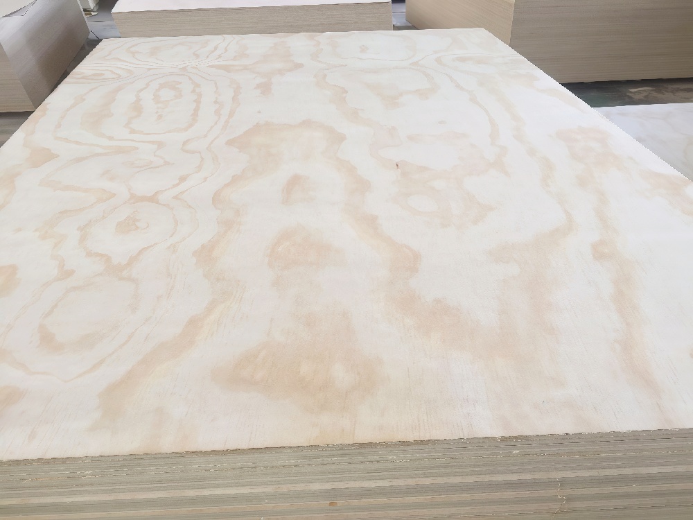 Pine Plywood Radiata Pine